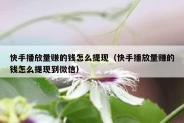 快手播放量赚的钱怎么提现（快手播放量赚的钱怎么提现到微信）