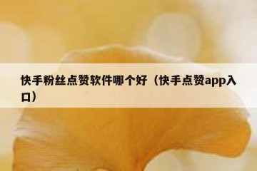 快手粉丝点赞软件哪个好（快手点赞app入口）