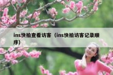 ins快拍查看访客（ins快拍访客记录顺序）