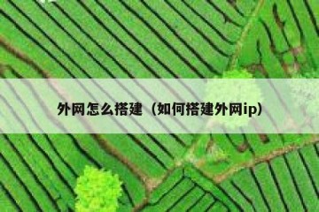 外网怎么搭建（如何搭建外网ip）