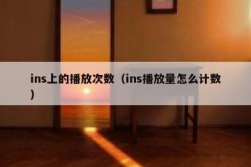 ins上的播放次数（ins播放量怎么计数）