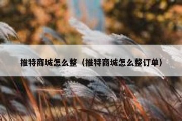 推特商城怎么整（推特商城怎么整订单）