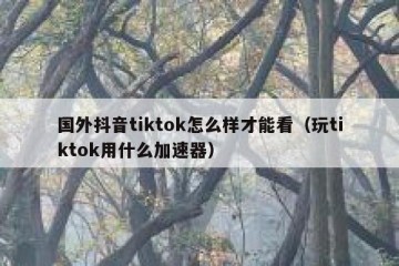 国外抖音tiktok怎么样才能看（玩tiktok用什么加速器）