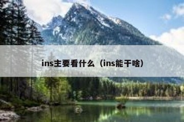 ins主要看什么（ins能干啥）