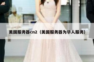 美国服务器cn2（美国服务器为华人服务）