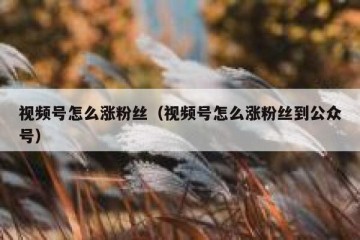 视频号怎么涨粉丝（视频号怎么涨粉丝到公众号）