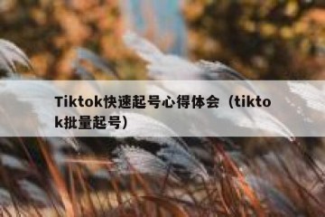 Tiktok快速起号心得体会（tiktok批量起号）