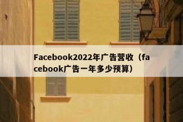 Facebook2022年广告营收（facebook广告一年多少预算）
