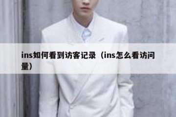 ins如何看到访客记录（ins怎么看访问量）