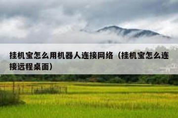 挂机宝怎么用机器人连接网络（挂机宝怎么连接远程桌面）