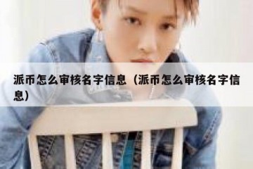 派币怎么审核名字信息（派币怎么审核名字信息）