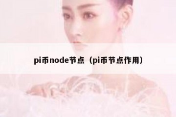 pi币node节点（pi币节点作用）