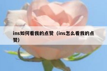 ins如何看我的点赞（ins怎么看我的点赞）