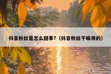 抖音粉丝是怎么回事?（抖音粉丝干嘛用的）