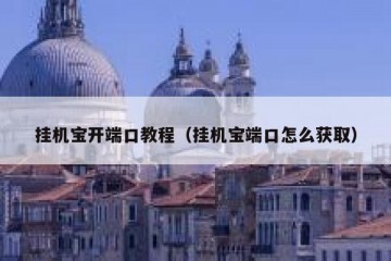 挂机宝开端口教程（挂机宝端口怎么获取）