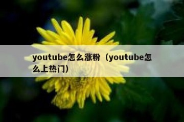 youtube怎么涨粉（youtube怎么上热门）