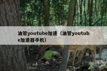 油管youtube加速（油管youtube加速器手机）