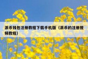 派币钱包注册教程下载手机版（派币的注册视频教程）