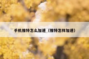手机推特怎么加速（推特怎样加速）