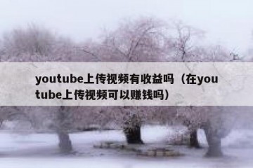 youtube上传视频有收益吗（在youtube上传视频可以赚钱吗）