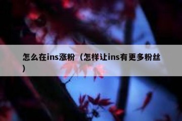 怎么在ins涨粉（怎样让ins有更多粉丝）
