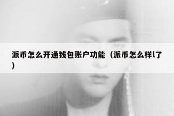 派币怎么开通钱包账户功能（派币怎么样l了）