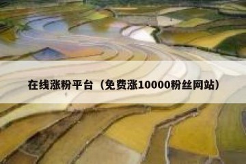 在线涨粉平台（免费涨10000粉丝网站）