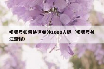 视频号如何快速关注1000人呢（视频号关注流程）