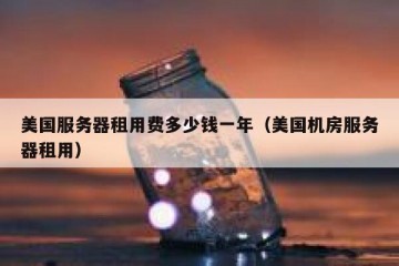 美国服务器租用费多少钱一年（美国机房服务器租用）