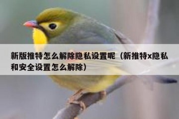 新版推特怎么解除隐私设置呢（新推特x隐私和安全设置怎么解除）