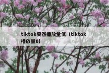 tiktok突然播放量低（tiktok 播放量0）