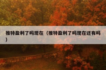 推特盈利了吗现在（推特盈利了吗现在还有吗）