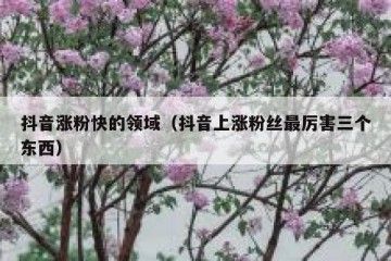 抖音涨粉快的领域（抖音上涨粉丝最厉害三个东西）