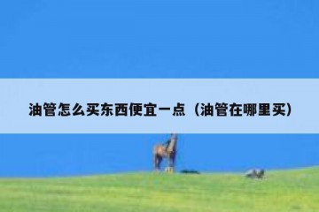 油管怎么买东西便宜一点（油管在哪里买）