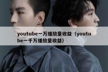 youtube一万播放量收益（youtube一千万播放量收益）