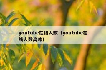 youtube在线人数（youtube在线人数高峰）
