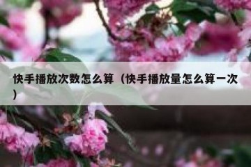 快手播放次数怎么算（快手播放量怎么算一次）