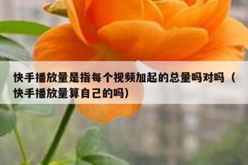 快手播放量是指每个视频加起的总量吗对吗（快手播放量算自己的吗）