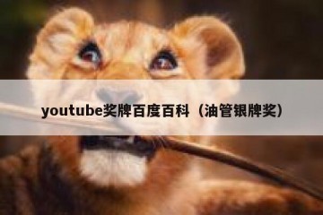 youtube奖牌百度百科（油管银牌奖）