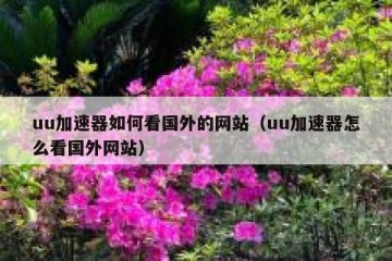 uu加速器如何看国外的网站（uu加速器怎么看国外网站）