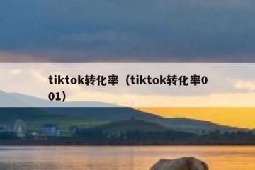 tiktok转化率（tiktok转化率001）