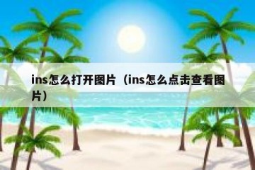 ins怎么打开图片（ins怎么点击查看图片）
