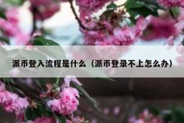 派币登入流程是什么（派币登录不上怎么办）