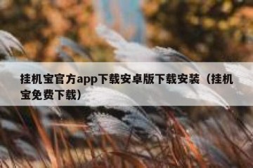 挂机宝官方app下载安卓版下载安装（挂机宝免费下载）