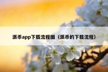 派币app下载流程图（派币的下载流程）