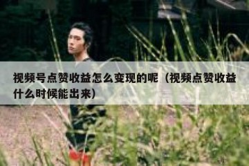 视频号点赞收益怎么变现的呢（视频点赞收益什么时候能出来）