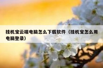 挂机宝云端电脑怎么下载软件（挂机宝怎么用电脑登录）