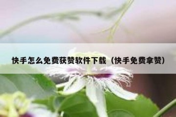 快手怎么免费获赞软件下载（快手免费拿赞）