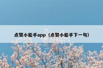点赞小能手app（点赞小能手下一句）