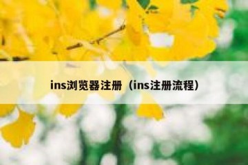 ins浏览器注册（ins注册流程）